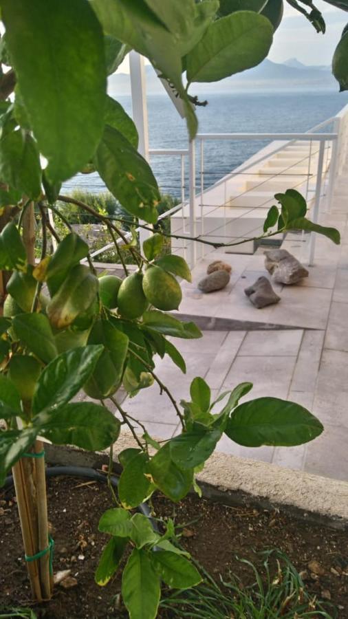 Epipleon Suites Agioi Apostoloi  Exterior photo